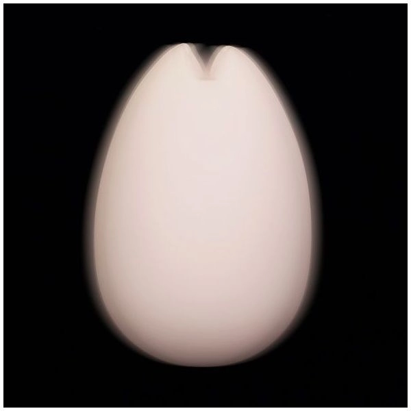 Tenga Iroha Sakura - Sextoy Féminin 10 Tenga Iroha Sakura - Sextoy Féminin – Image 8