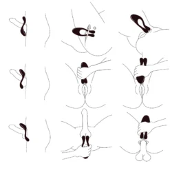 Sextoy Pour Couple Doppio Bleu - BeauMents -Erotikartikel Verkaufe 14123