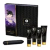 Coffret Romantique Ensemble Geisha Coquine - Shunga -Erotikartikel Verkaufe 17734