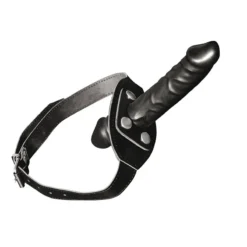Ball Gag Avec Godemichet Pénis - XXdreamsToys