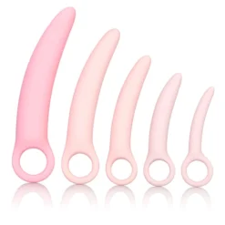 Fun Factory Dilatateurs En Silicone Inspire (5 Pièces) - Calexotics
