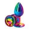 Plug Anal Aluminium Rear Assets Rainbow (S) - NS Novelties